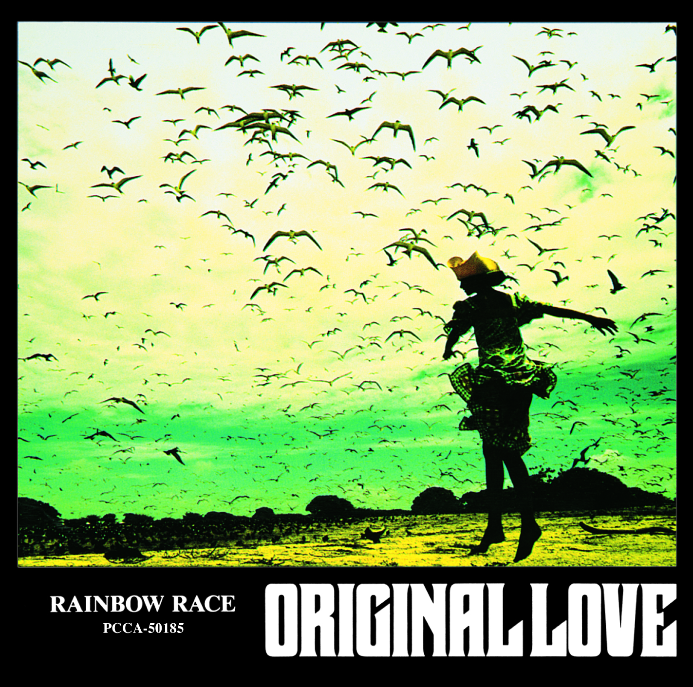 RAINBOW RACE / DISCOGRAPHY / Original Love Official Web Site