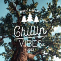 Chillin’ Vibes 2022に田島貴男の出演が決定！各出演者の日割りも発表！